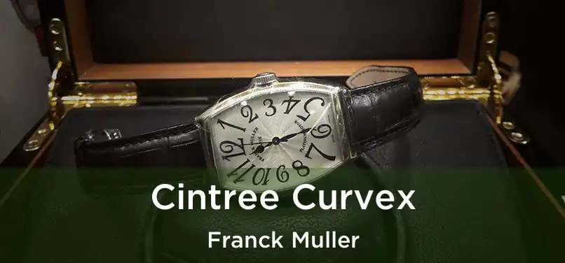  Cintree Curvex Franck Muller