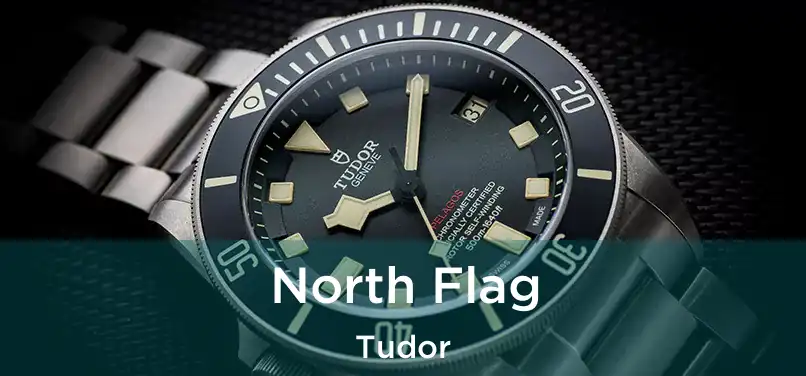  North Flag Tudor