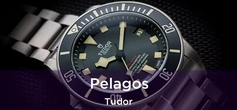  Pelagos Tudor